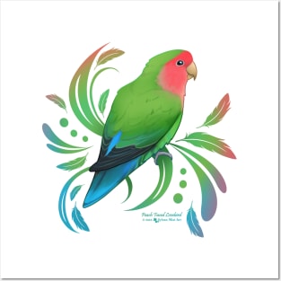 Green Peach Faced Lovebird Posters and Art